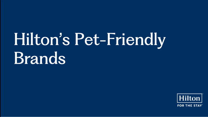Hilton’s Pet‑Friendly Brands